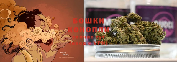 мдпв Вязьма