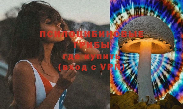 мдпв Вязьма