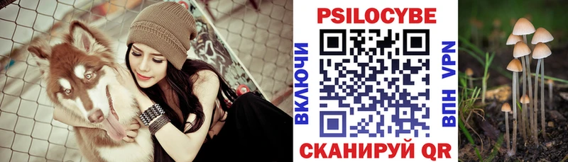 Купить  Кедровый  Псилоцибиновые грибы прущие грибы 